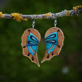 Náušnice motýlí křídla modrá