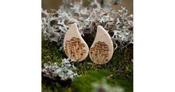 Puzety houby shimeji