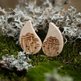 Puzety houby shimeji